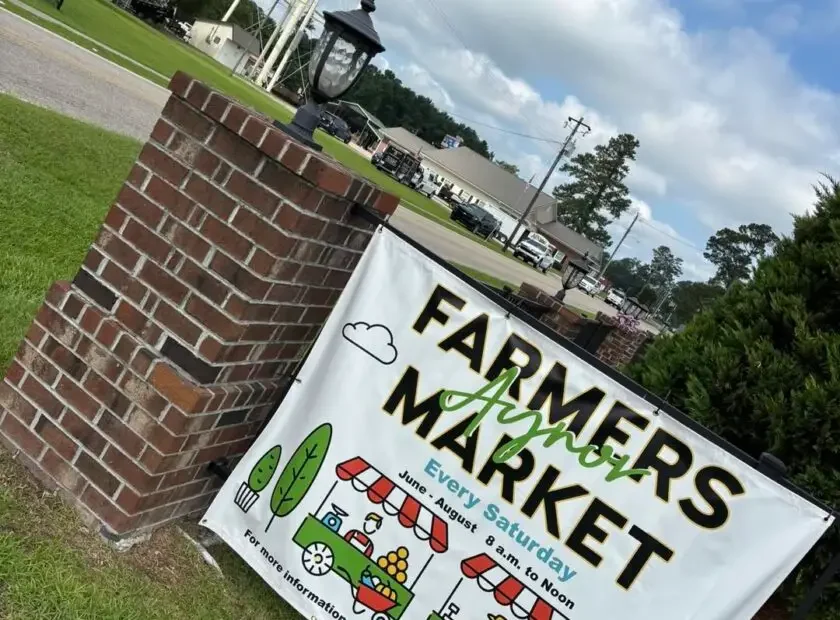 aynor farmers market sign
