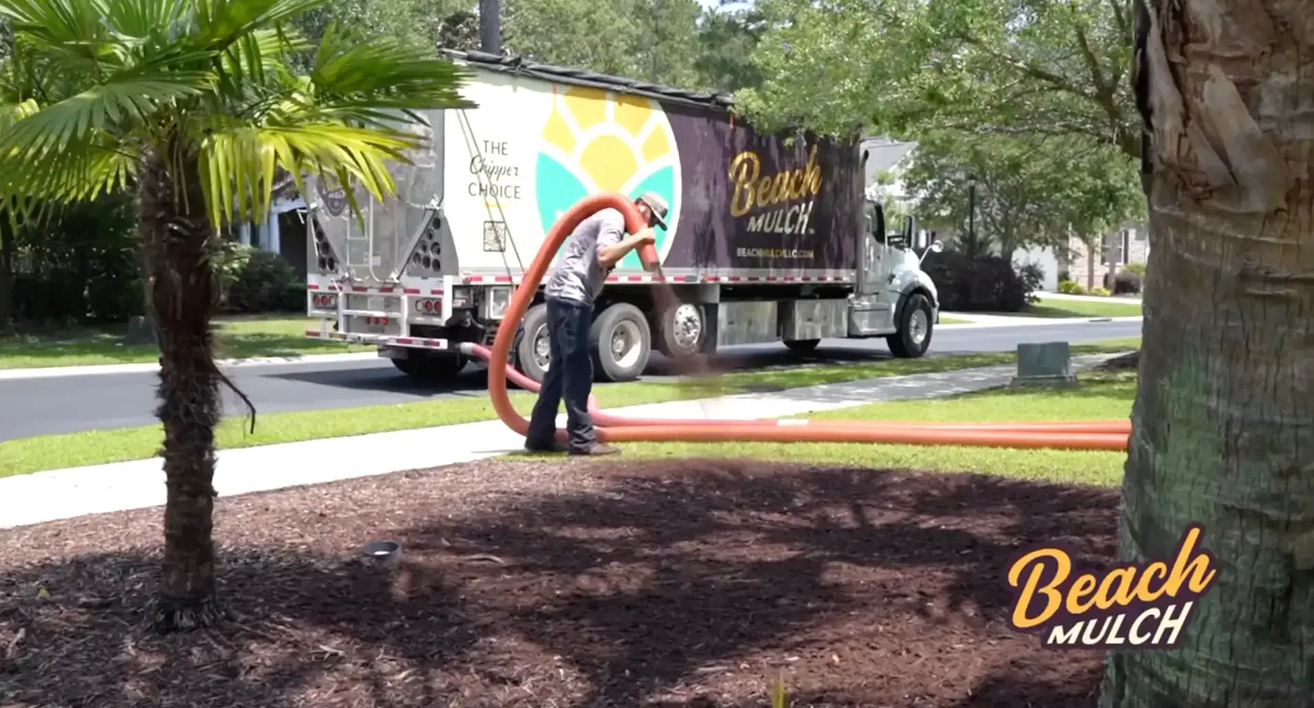beach mulch