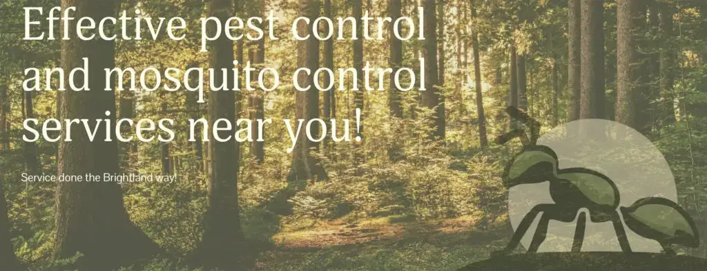 brightland pest control