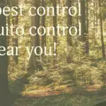 Brightland Pest Control