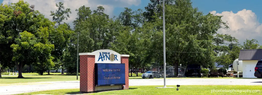 Town of Aynor Landscape