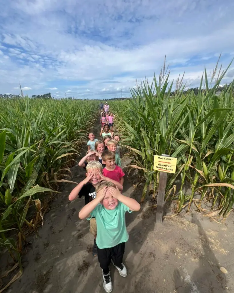 Southern Palmetto Farms