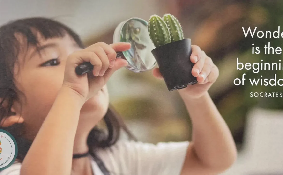 481300036_122152981634453075_6407221298818091109_n