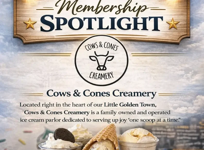 cows and cones in Aynor sc