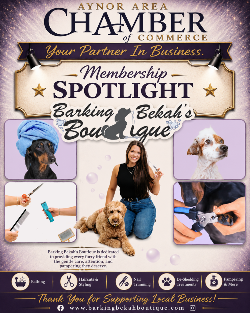 Barking Bekah spotlightrev