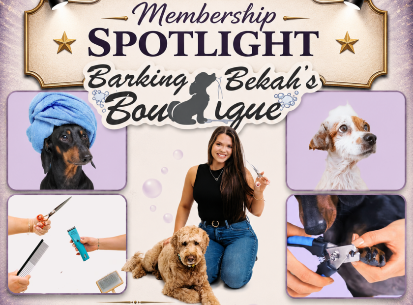 Barking Bekah spotlightrev