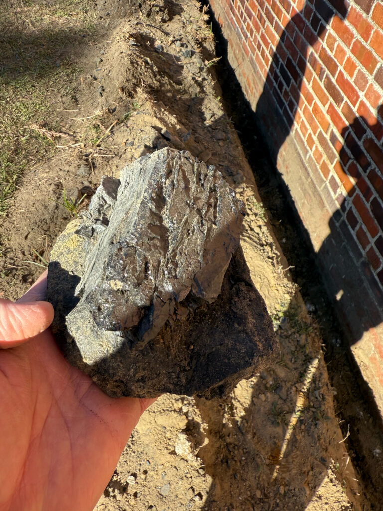 Coal Found in Aynor