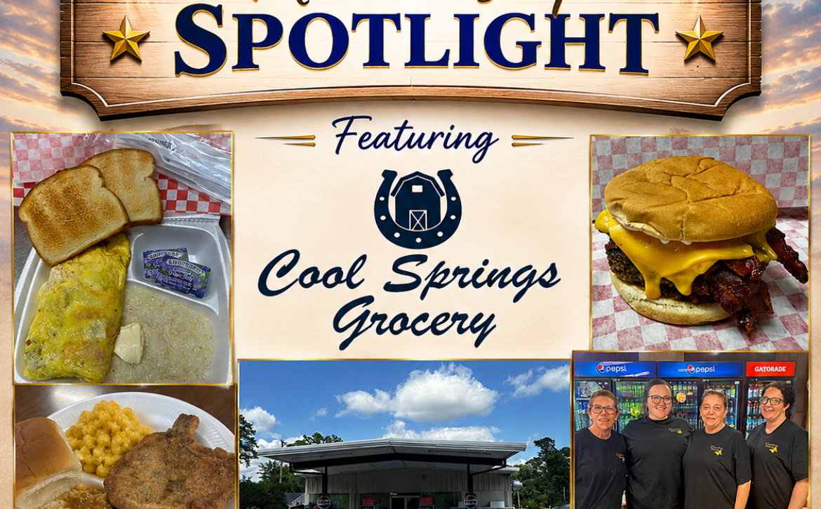 cool spring spotlight