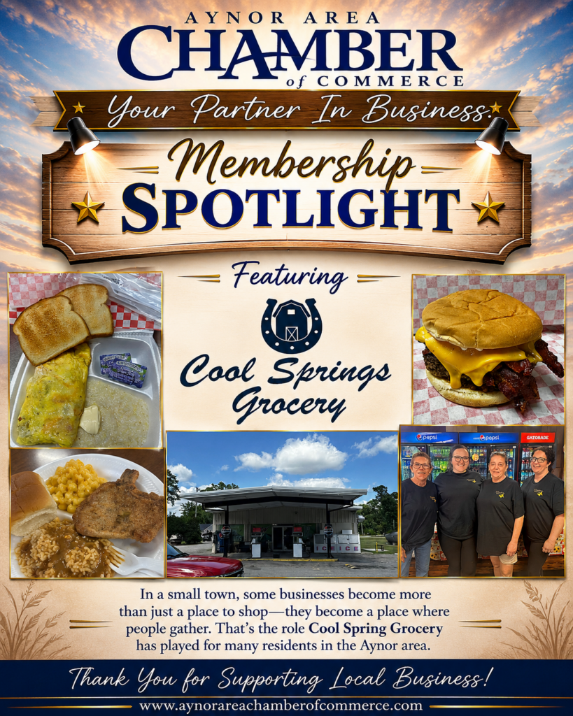 cool spring spotlight