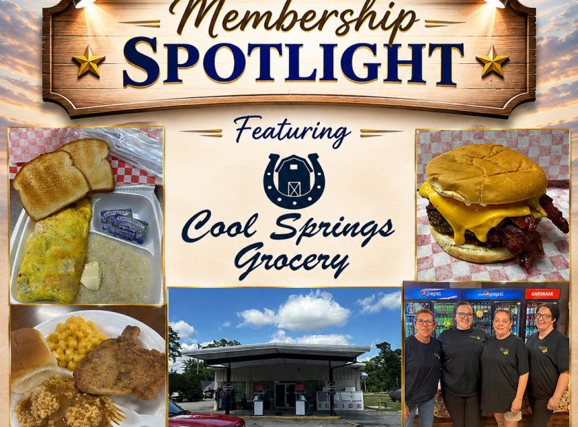 cool spring spotlight