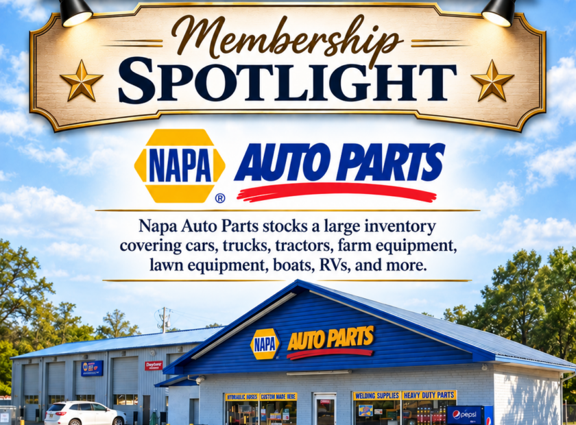 NAPA-auto-parts spotlight